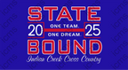 ICMS 2025 XC State Team Tee