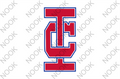 IC Garden Flag