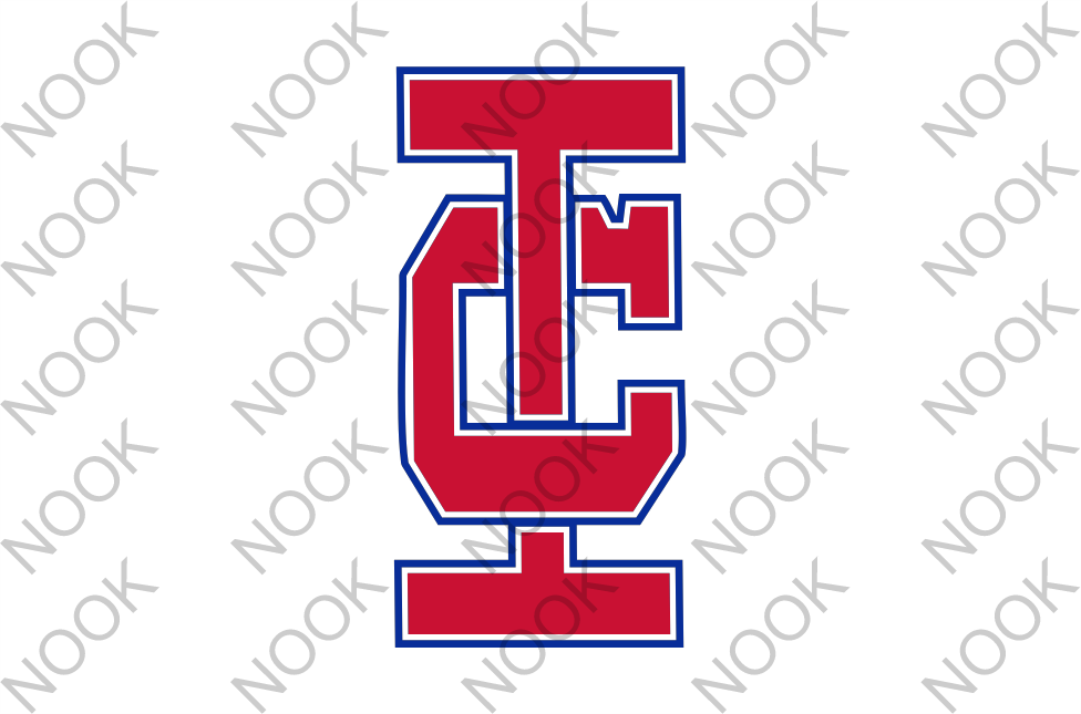 IC Garden Flag