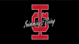 ICMS IC Logo Swimming & Diving Long Sleeve Tee-Performance Wear