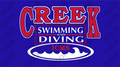 ICMS Team Swimming & Diving Long Sleeve Tee-Performance Wear