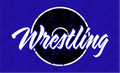 Wrestling Mat Ladies Tee